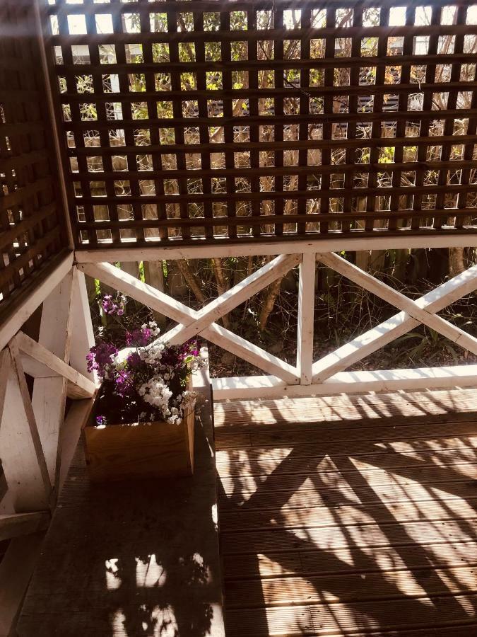 Prodigal Daughter Gourmet Lodge Martinborough Eksteriør bilde